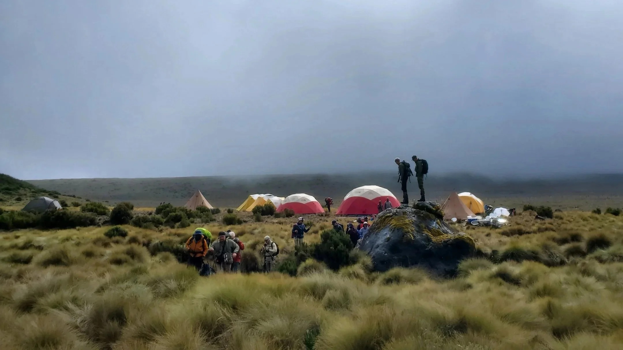 Private fly camp pitched on the Mount Kenya moorland